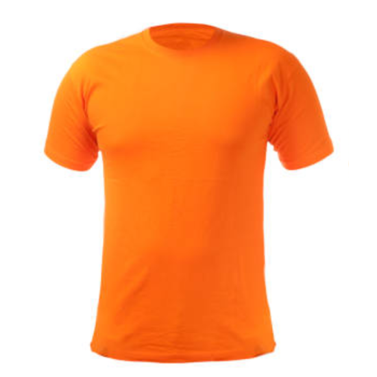 Koszula niebieska Jordan